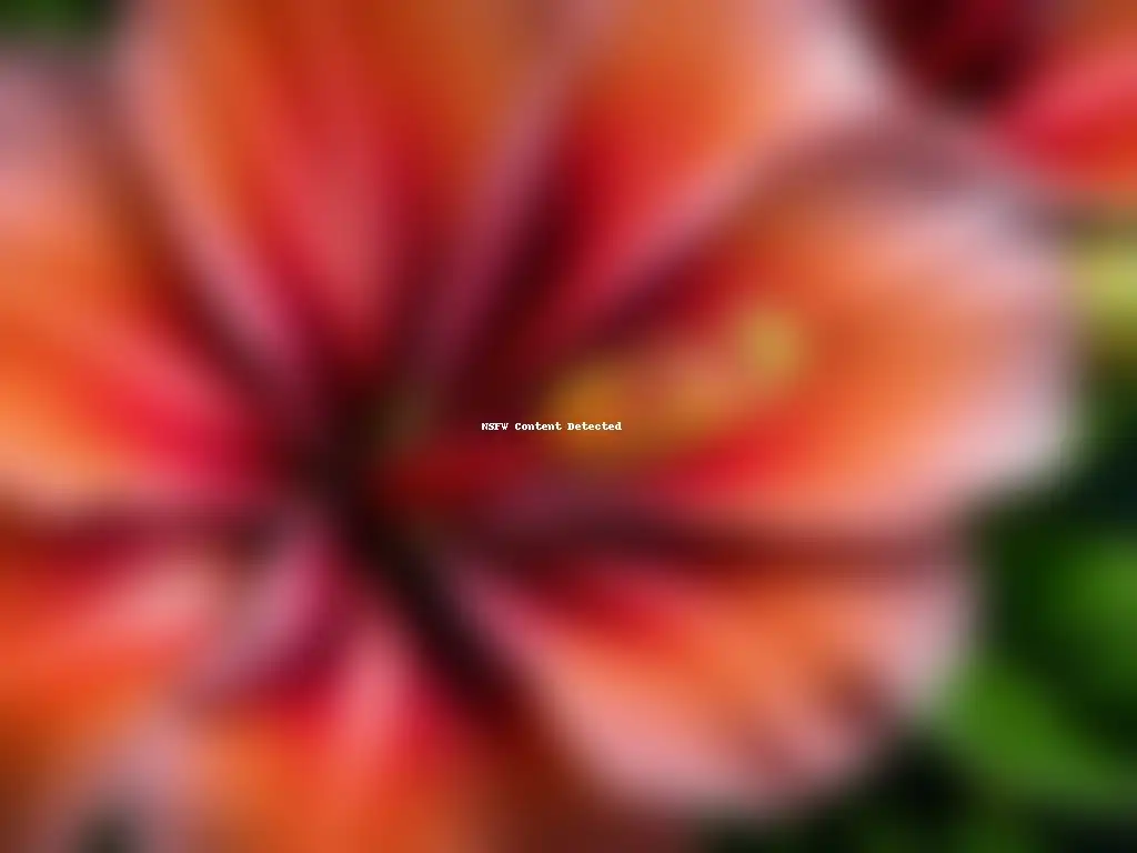 Detalle único de flores de Hibiscus sabdariffa, conocidas como Flor de Jamaica, bajo la luz natural