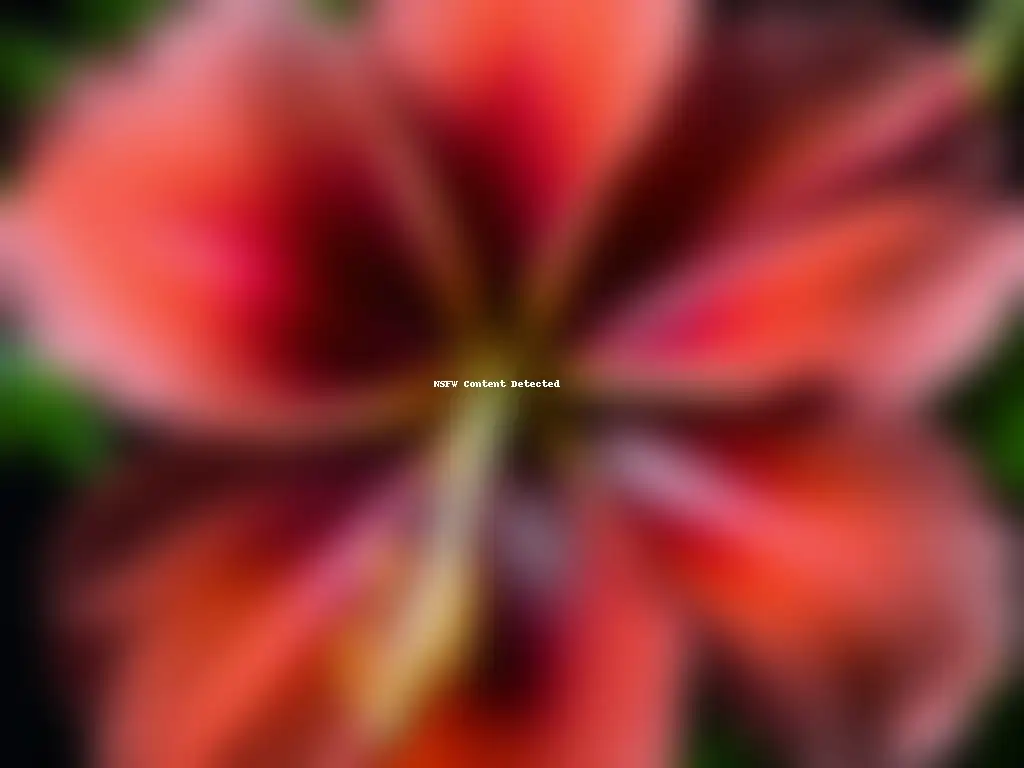 Detalle vibrante de una Flor de Jamaica, evocando su belleza natural y significado cultural