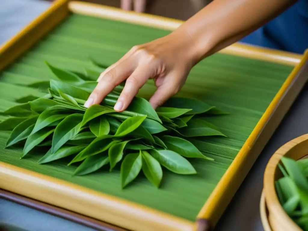 Manos expertas elaboran meticulosamente hojas de té verde en bandeja de bambú, reflejando la historia cultural del té verde