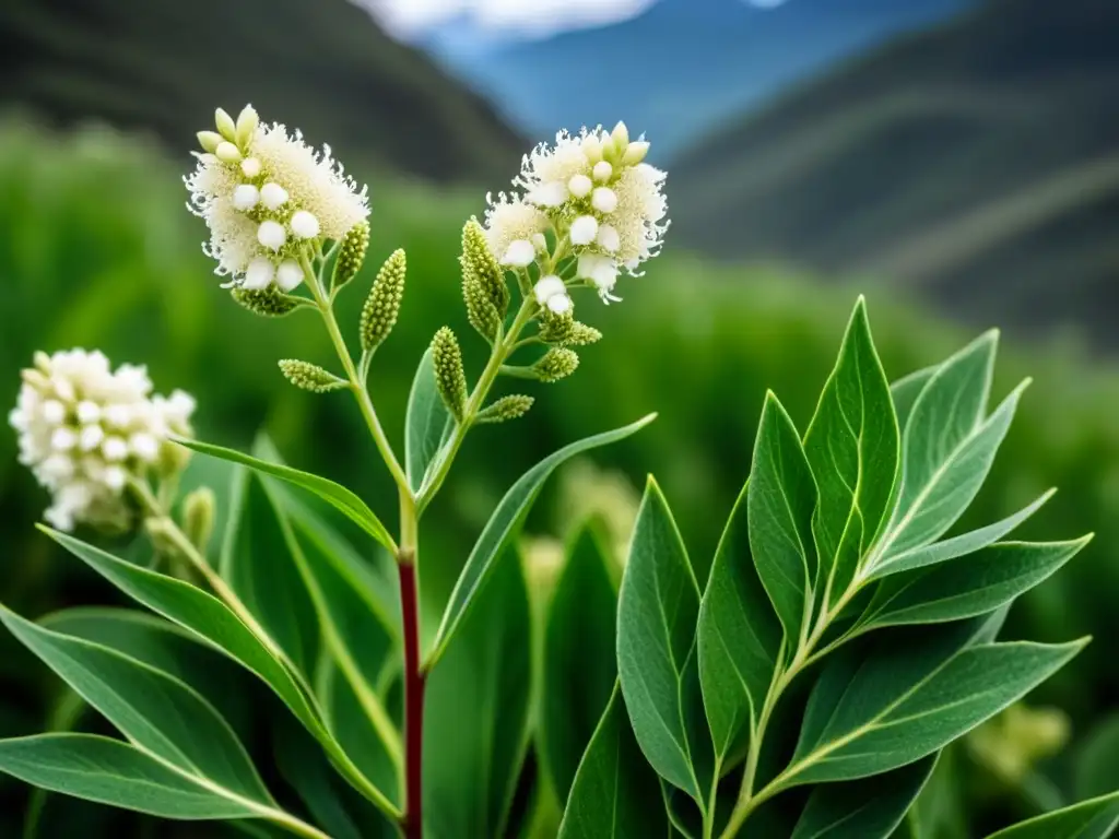 Un retrato detallado de una vibrante planta de quinua en los Andes, destacando sus hojas, flores blancas y semillas